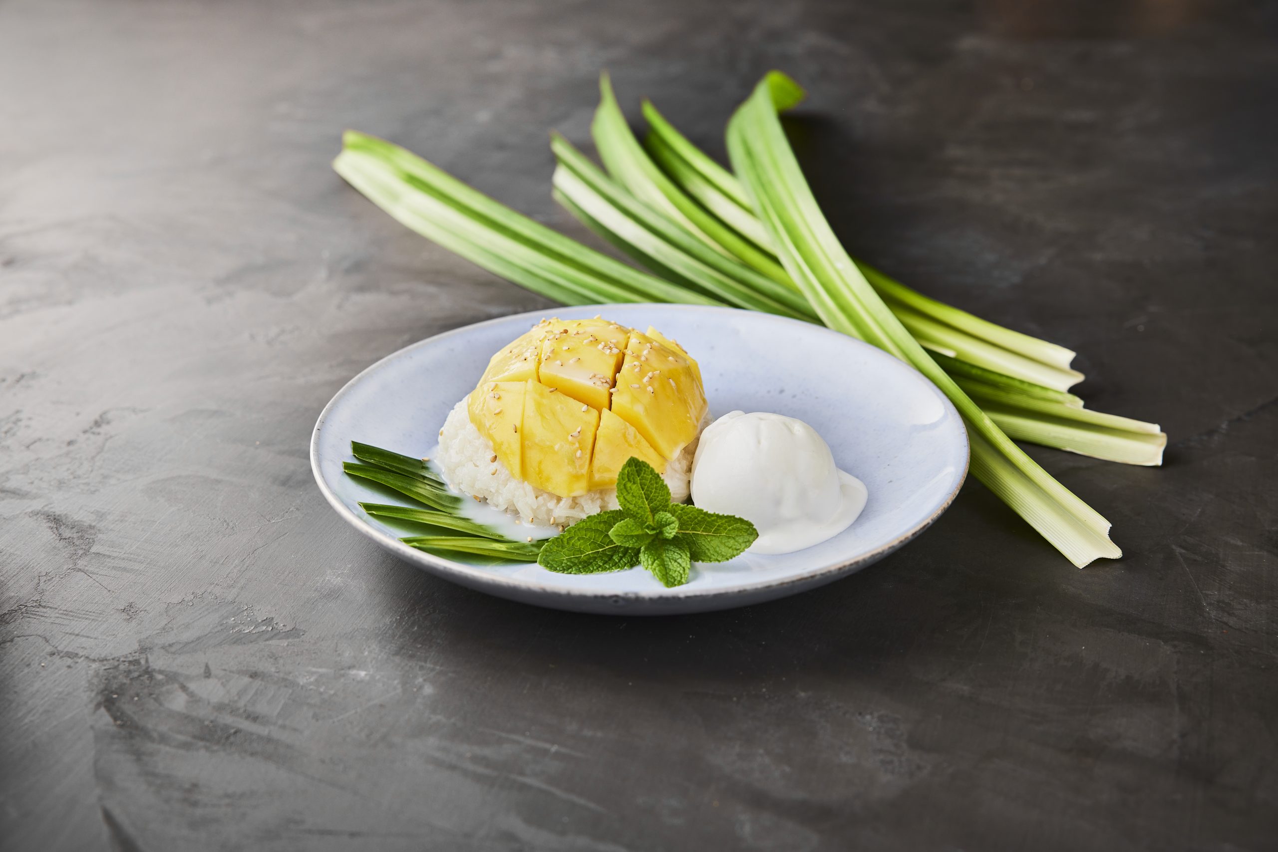 Mango sticky rice dessert with coconut ice cream